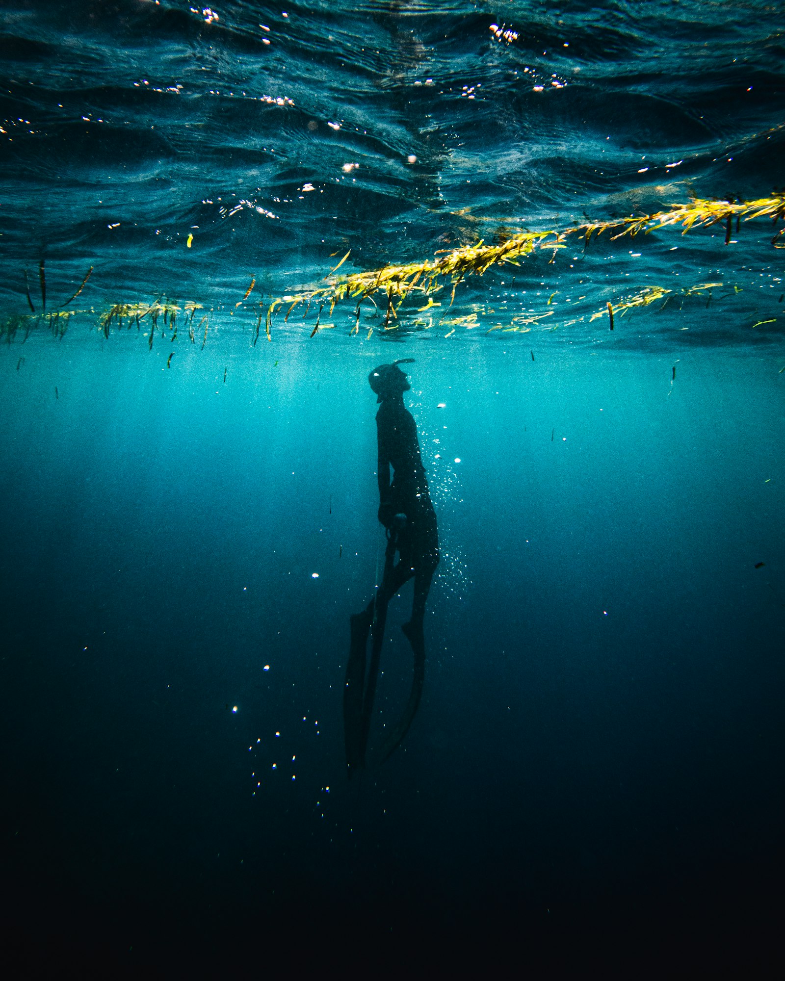 Deep Freediving Training